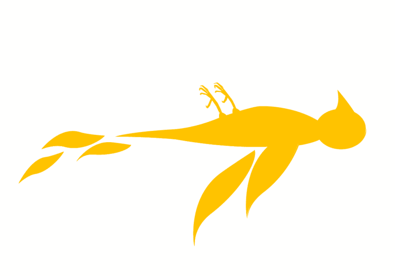 Taking on the Lib Dems