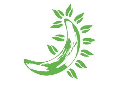 Taking on the Greens