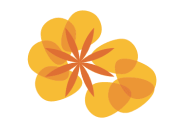 Taking on Plaid Cymru