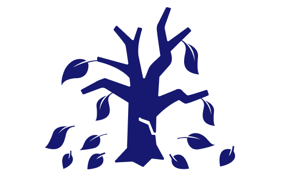 Taking on the Conservatives