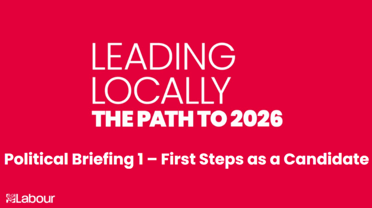 Leading Locally | Political Briefing 1 – First Steps as a Candidate​